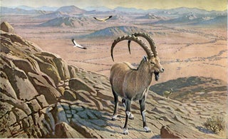 GAME ANIMALS OF THE SUDAN, Their Habits and Distribution; A Handbook for Hunters and Naturalists