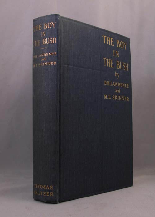 Item #20724 THE BOY IN THE. D. H. Lawrence, M. C. Skinner