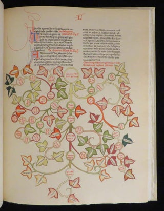 The Trees of the Genealogia Deorum of Boccaccio
