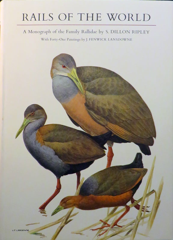 Item #23663 RAILS OF THE WORLD A Monograph of the Family Rallidae... and a Chapter on Fossil Species by Storrs L. Olson. S. Dillon Ripley.