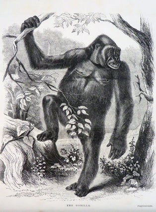 EXPLORATIONS AND ADVENTURES IN EQUATORIAL AFRICA. With Accounts of the Manners and Customs of the People, and of the Chace of the Gorilla, Crocodile, Leopard, Elephant, Hippopotamus, and Other Animals