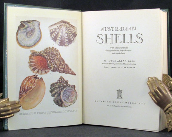 Item #26162 AUSTRALIAN SHELLS With Related. Shells, Joyce Allan