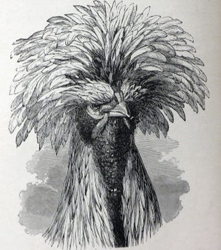 THE VARIATION OF ANIMALS AND PLANTS UNDER DOMESTICATION