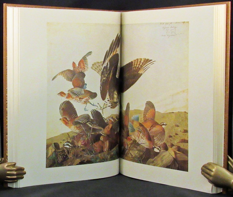 Item #32730 THE ORIGINAL WATER-COLOR PAINTINGS BY JOHN JAMES AUDUBON FOR THE BIRDS OF AMERICA, Reproduced in color for the first time from the collection at the New-York Historical Society. Introduction by Marshall B. Davidson. John James Audubon.