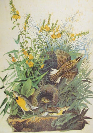 THE ORIGINAL WATER-COLOR PAINTINGS BY JOHN JAMES AUDUBON FOR THE BIRDS OF AMERICA, Reproduced in color for the first time from the collection at the New-York Historical Society. Introduction by Marshall B. Davidson