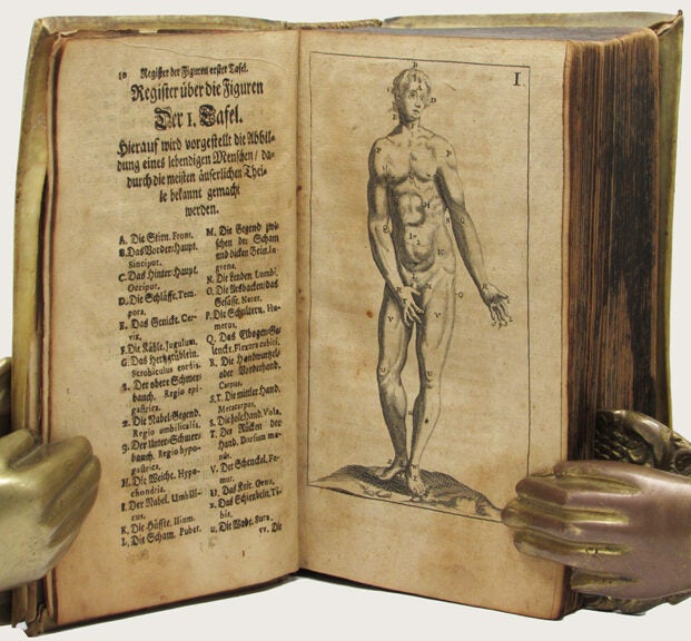 Item #34368 ANATOMIE ODER ZERLEGUNG DES. Anatomy, Philip Verheyn, Philippe Verheyen