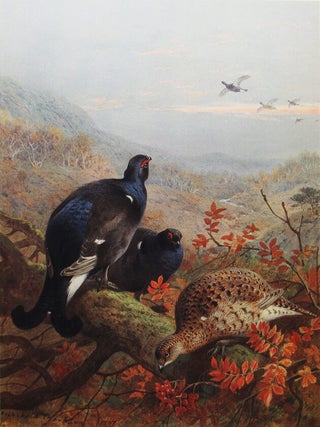 THE NATURAL HISTORY OF BRITISH GAME BIRDS